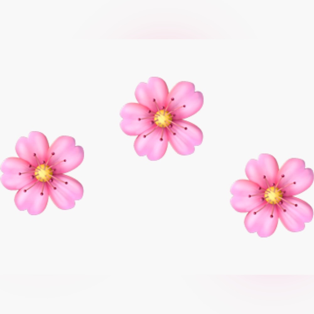 🌸 3 for $20